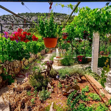 Apartment Stone House Razanj