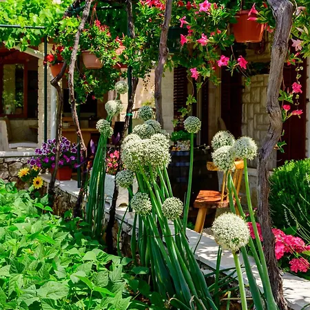 Stone House Apartment Razanj