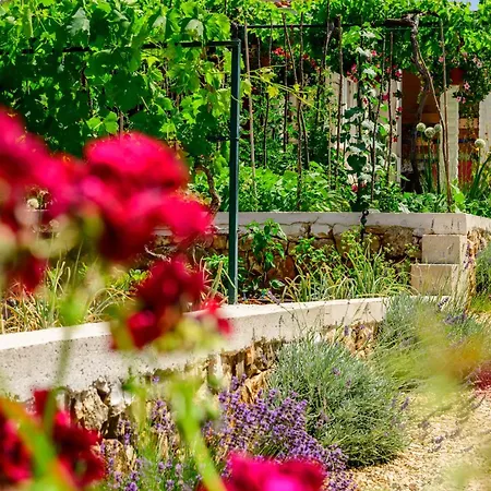 Stone House * Razanj