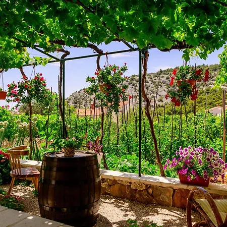 Stone House Apartment Razanj